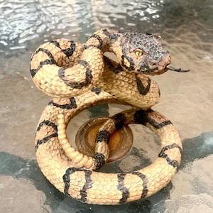 Puede incluir: Una figura de serpiente de cascabel enroscada con un cuerpo de color tostado texturizado y marcas transversales de color marrón oscuro. La serpiente tiene una cabeza oscura y escamosa con ojos amarillos brillantes y una lengua negra bífida.
