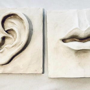 May include: Two off-white, square relief sculptures. One depicts a human ear, the other a pair of lips. The ear and lips are detailed with shadows, creating a three-dimensional effect. The sculptures are mounted on square, textured backgrounds.