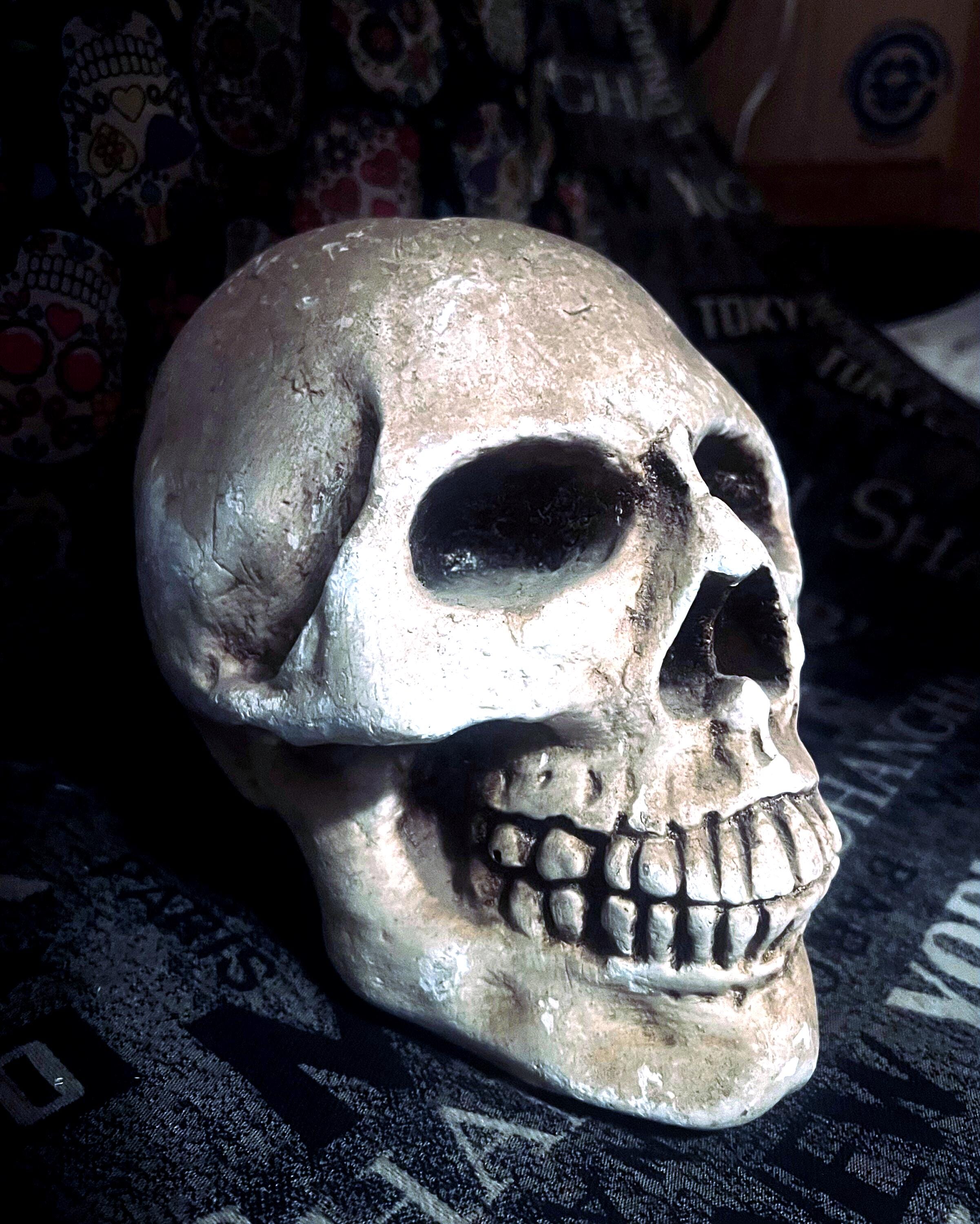 Large Skull Approx. Dimensions 9 X 7 X 5 Weighing Over 2 Lbs. From 
