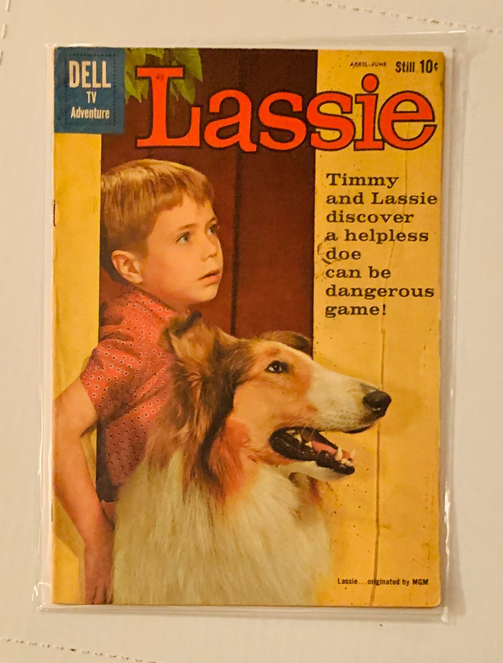 546 Lassie Film Stock Photos, High-Res Pictures, and Images