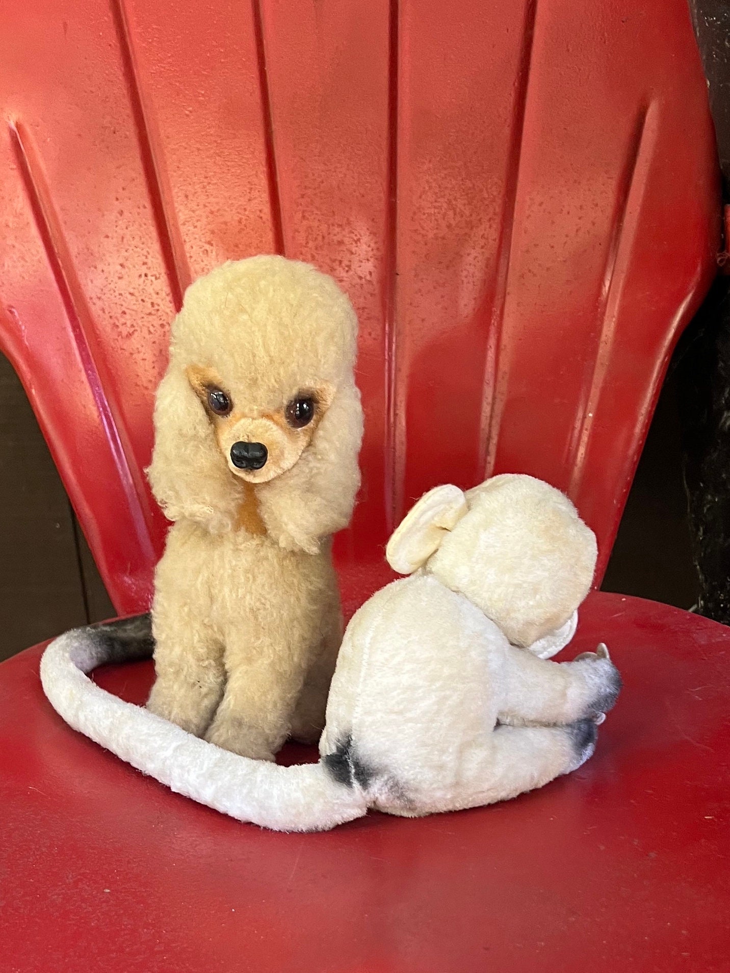 POODLE VARIETY 6冊セット Poodle Variety | eBay