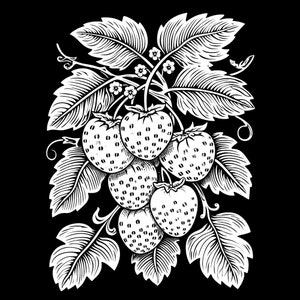 12 Botanical Linocut Inspired Coloring Pages - Tracing Templates - PDF ...