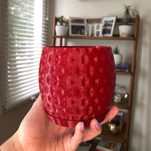 Pineapple Planter 3D Printed Shelf Pot | Tropical Succulent Gift | Eco-Friendly Boho Decor | Drainage Saucer | Small Plant Holder