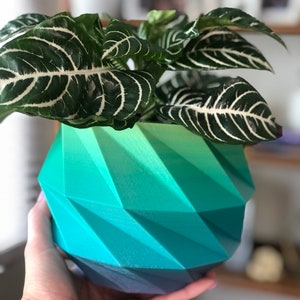 Geometric Twisted Rectangle Planter | 3D Printed Eco-Friendly Desk Pot | Modern Minimalist Plant Holder | Drainage | Succulent Gift
