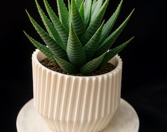 Vaso da fiori a coste stampato in 3D / Vaso da fiori geometrico moderno in PLA