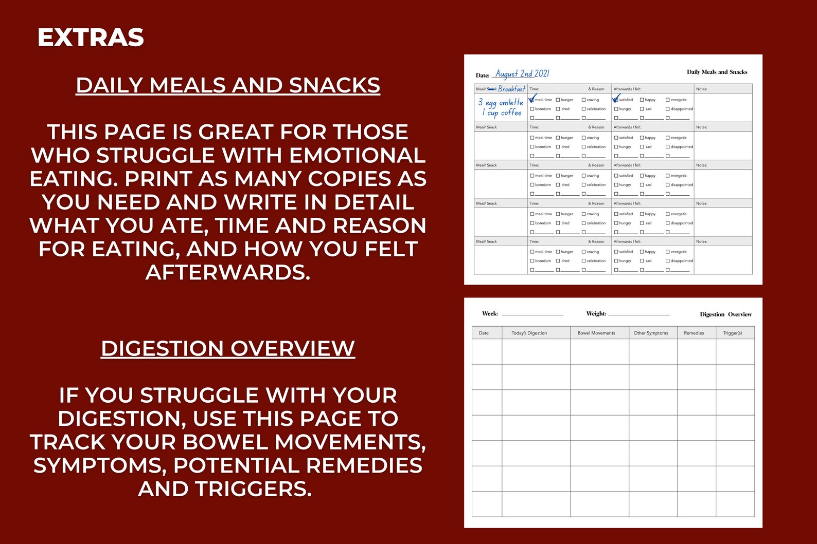 Printable Diabetes Journal for Type I and Type II With Chart Etsy UK