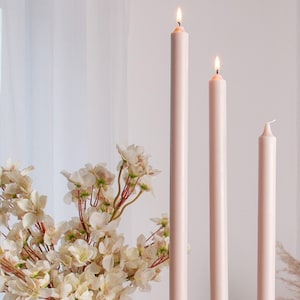 6 x AUSTRALIAN MADE Dinner Tapered Candles | 2cm x 40cm Dinner Taper Candles | Home Decor Candles - Variety Of Colours Available