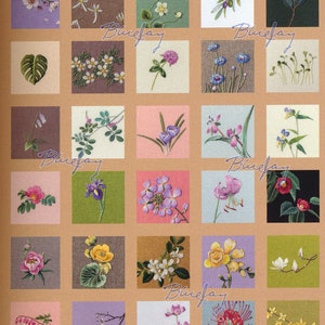 HaRan&#39;s Botanical Flowers Embroidery  - Korean Embroidery Book