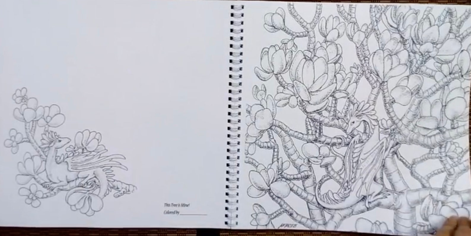 Anastasia Elly Koldareva s When Dragons Dream Coloring Etsy