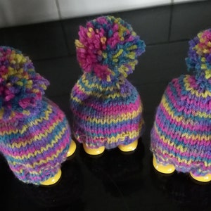 Hand Knitted Egg Cosy Set: Rainbow Wool Pom Poms, Gift Wrapped