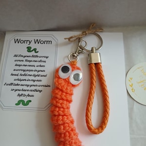 zorg worm fidgit sleutelhanger veel kleuren wordt geleverd op een kaart met gedicht maak gewoon de strik los en hij is klaar om te gaan, kaart blanco gelaten