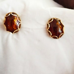 May include: A pair of oval-shaped earrings with a gold setting and a brown center stone. The stones have a decorative pattern around the edges.