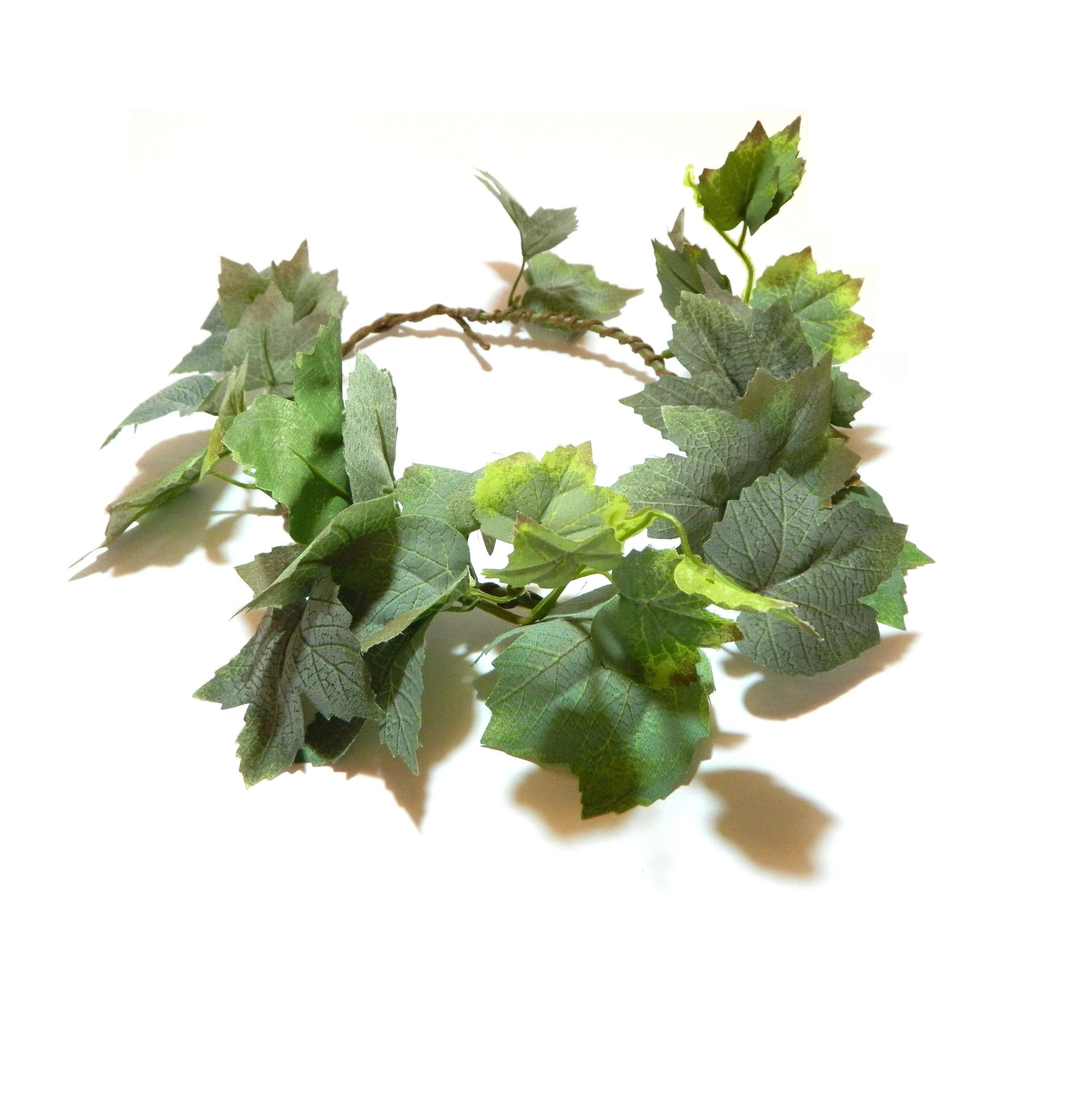 CLISPEED Cerchietti Foglia Verde Elastici 2 Pezzi e Ferro Per Donne e
