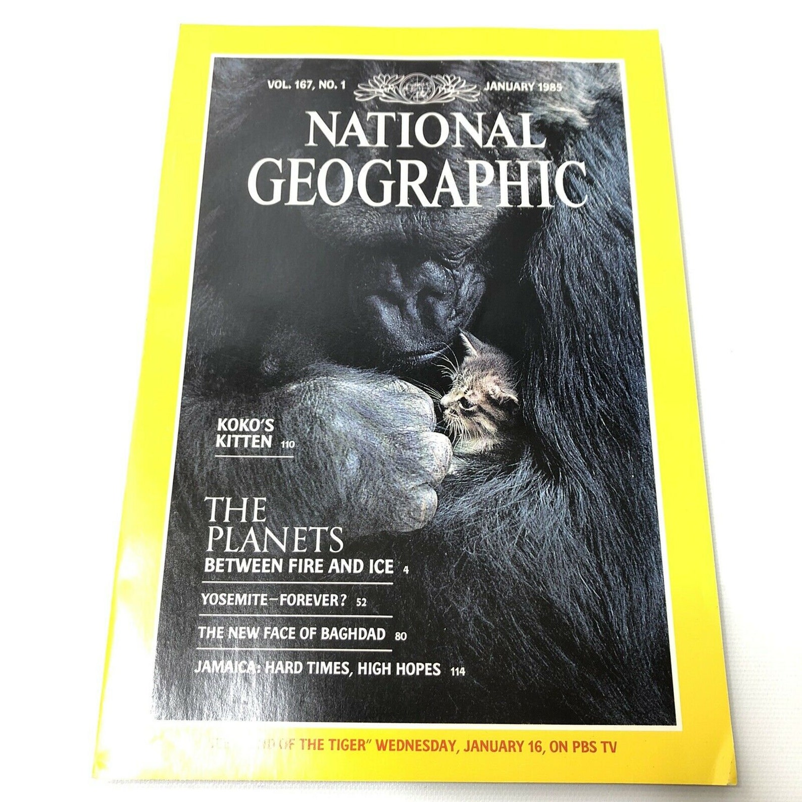 National Geographic Magazine and Slipcover January June 1985 Etsy