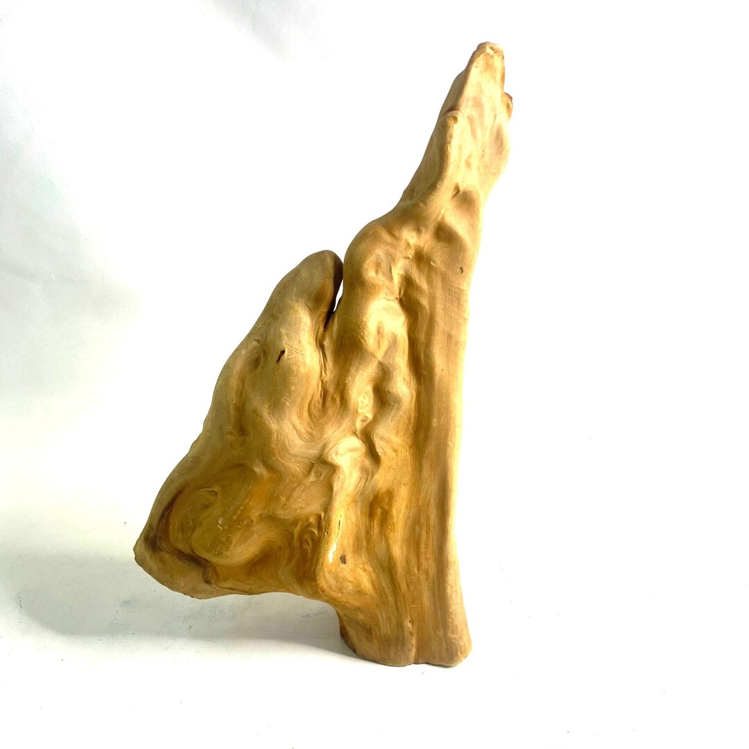 Blonde Burl Wood Sculpture Art Home Decor 16 Etsy