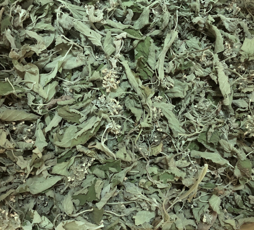 Organic CATNIP Fresh Dried Whole Herb Nepeta Cataria Leaves & Flowers ...