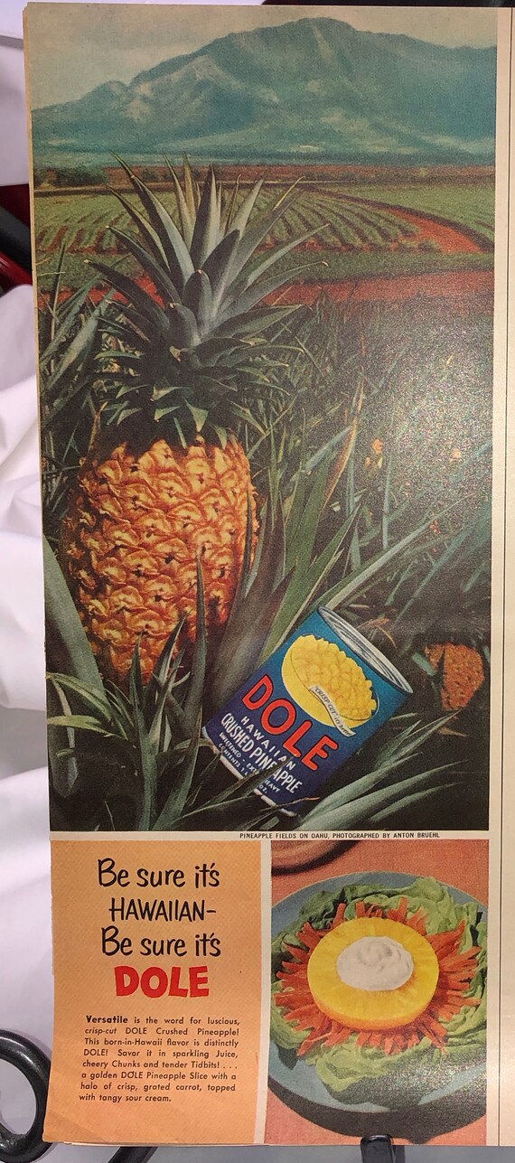 Can Puppies Eat Canned Pineapple Lowest Price