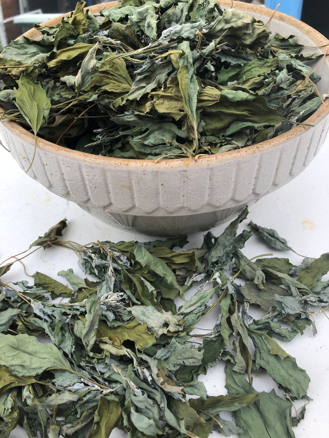 Organic LAMBSQUARTERS 2023 Dried Whole Leaf Herb Bathua/wild Etsy