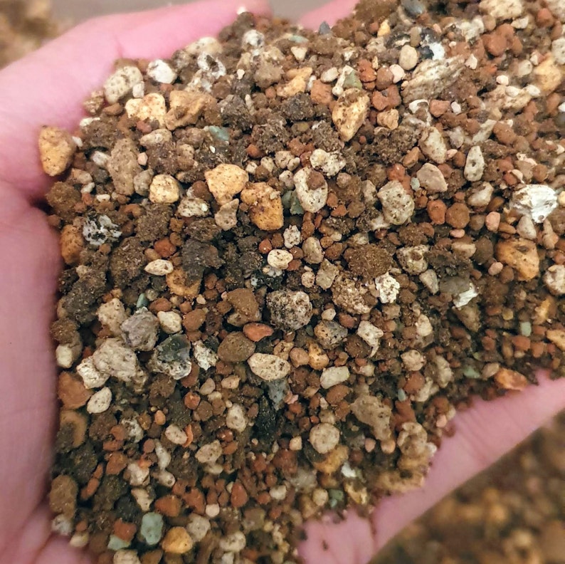 PREMIUM Succulent and Cacti Soil Mix Mineral Substrates for Etsy
