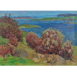 RIVER LANDSCAPE Original oil painting by Ukraine artist O.Solodovnikov, Trees on the river bank Riverscape, One of a kind art Nature Artwork