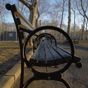 Park Bench