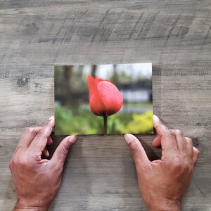 Flower Power Postcard Pack