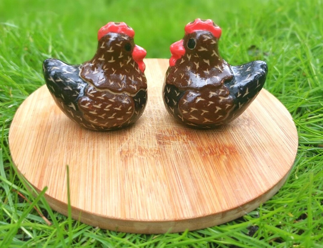 Saleros De Cerámica Con Cuchara De Madera - Juego De 2, Almacenamiento Seco Y Elegante Para Condimentos