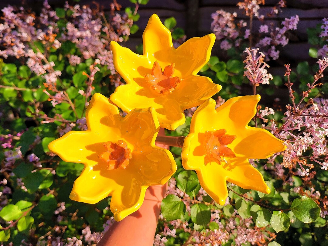 Daffodil Garden Ornament/pottery Daffodil Decoration/forever Etsy