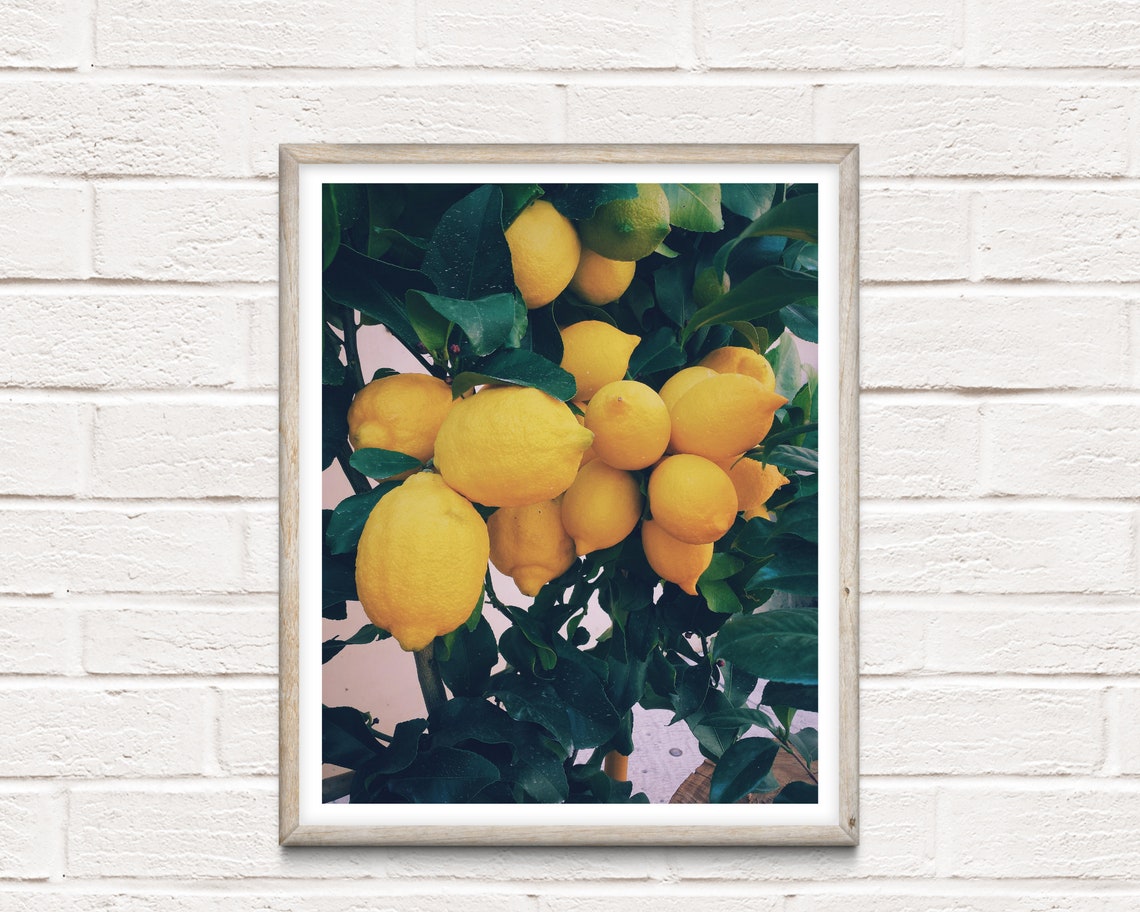 Lemon Photo Print // Lemon Tree Wall Art // Yellow Wall Print Etsy
