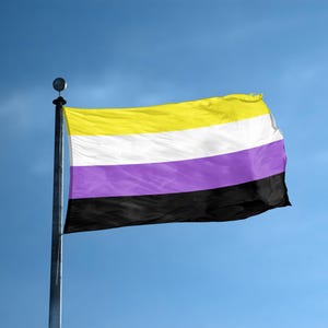 May include: A non-binary pride flag featuring four horizontal stripes in yellow, white, purple, and black, attached to a silver metal flagpole. The fabric of the flag is rippling in the wind against a clear blue sky background.