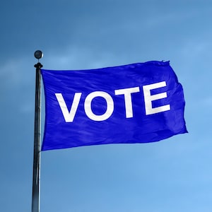 VOTE Blue Flag 12x18 in to 3x5 ft – Polyester with Brass Grommets