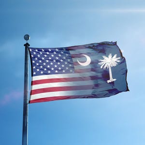 South Carolina USA Blend Flag 3x5 ft, SC State Pride, Parade Display