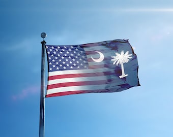 Bandera de Carolina del Sur, EE. UU., 90 x 150 cm, orgullo estatal, para desfiles.