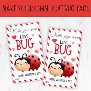 Machen Sie Ihren eigenen Love Bug Valentinstag Geschenkanhänger, druckbare Valentinstag Valentinstag Tags, Schulklasse Tag, sofortiger Download, für Kinder Valentinstag