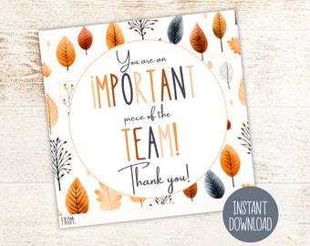 Appreciation Gift Tag Printable, Autumn Fall Thank You Staff Teammate Office Teacher Volunteer Employee Coworker Student Candy Treats