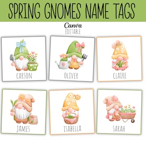 Modèle de porte-noms Spring Gnomes modifiable | Imprimable | Étiquettes pour salle de classe | Plaques de nom Cubby pour bureau, école, enseignant, étudiant