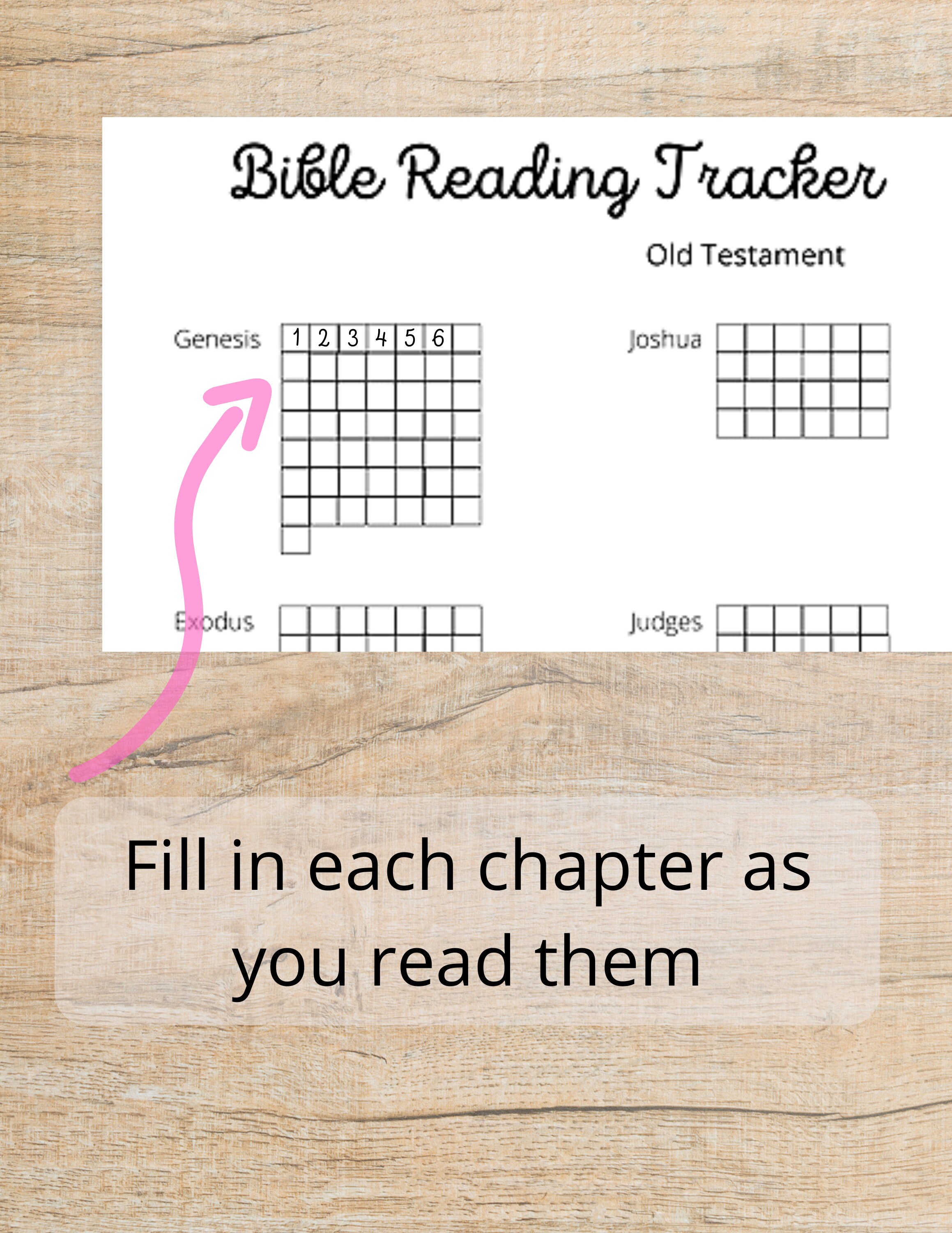 Bible Reading Tracker Log Bible Reading Plan Bible Study - Etsy UK