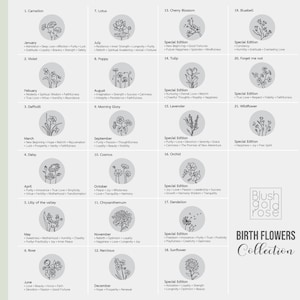 May include: A collection of birth flower illustrations, each within a circular frame, arranged in a grid. The design includes the name of the flower, the month, and associated traits. The Blush Gold Rose logo and "Birth Flowers Collection" text are also present.