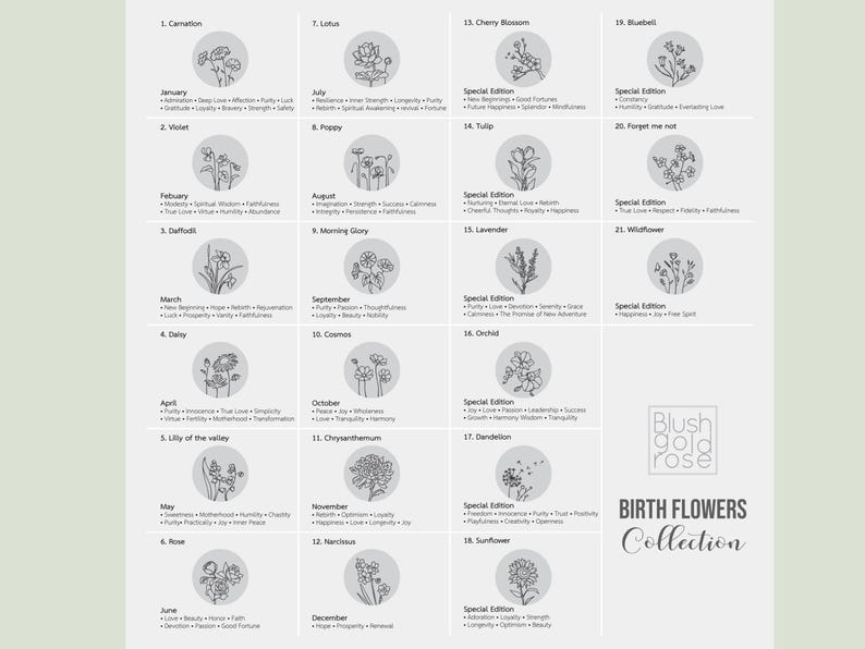 May include: A collection of birth flower illustrations, each within a circular frame, arranged in a grid. The design includes the name of the flower, the month, and associated traits. The Blush Gold Rose logo and "Birth Flowers Collection" text are also present.