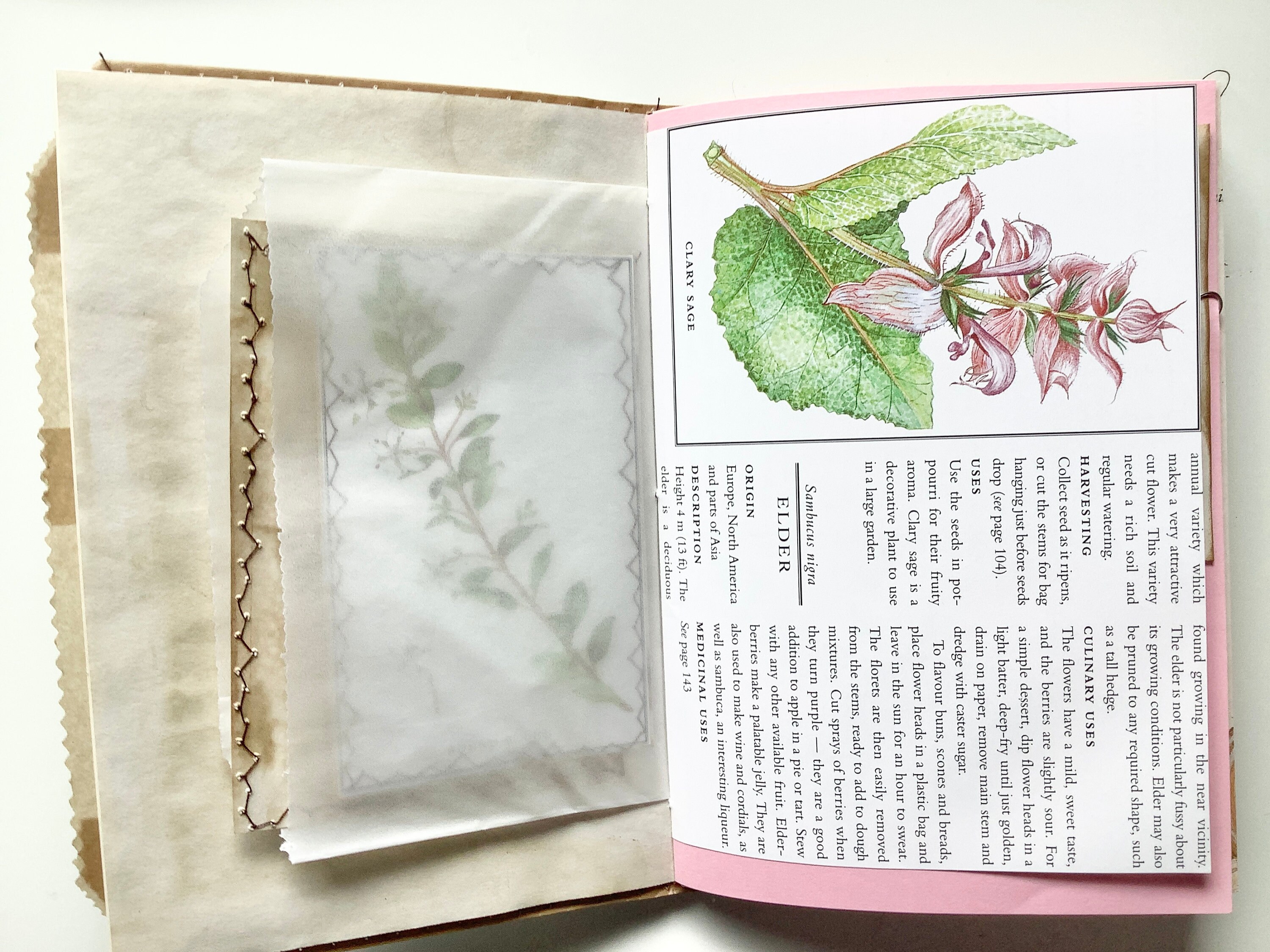 Herbalist journal collection keepsake junk journals Etsy