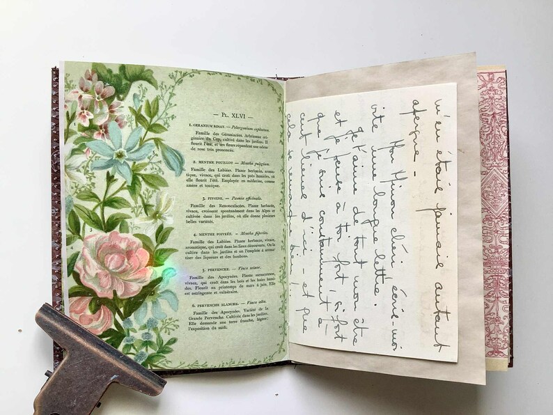 The Spirit of Flowers Printable Kit, Antique French Floral Book Pages, Chromaliths - Etsy