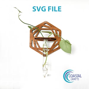 SVG File, Laser, Twisted Hexagon Air Plant Propagation, Wood Wall Hanging Modern Boho, Unique Plant Display, Mother, Garden Gift, Mom