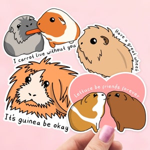 Guinea Pig Sticker Set, Fathers Day Guinea Pig Gift, Guinea Pig Birthday Gift, Guinea Pig Laptop Decal, Guinea Pig Gifts, Pet Themed Gift Stickers ONLY