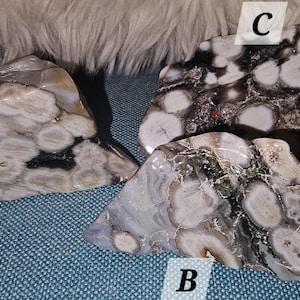 May include: Three polished stones with unique patterns. Stone A is light gray with circular patterns and red accents. Stone B is light gray and blue with circular patterns. Stone C is dark gray and white with circular patterns.