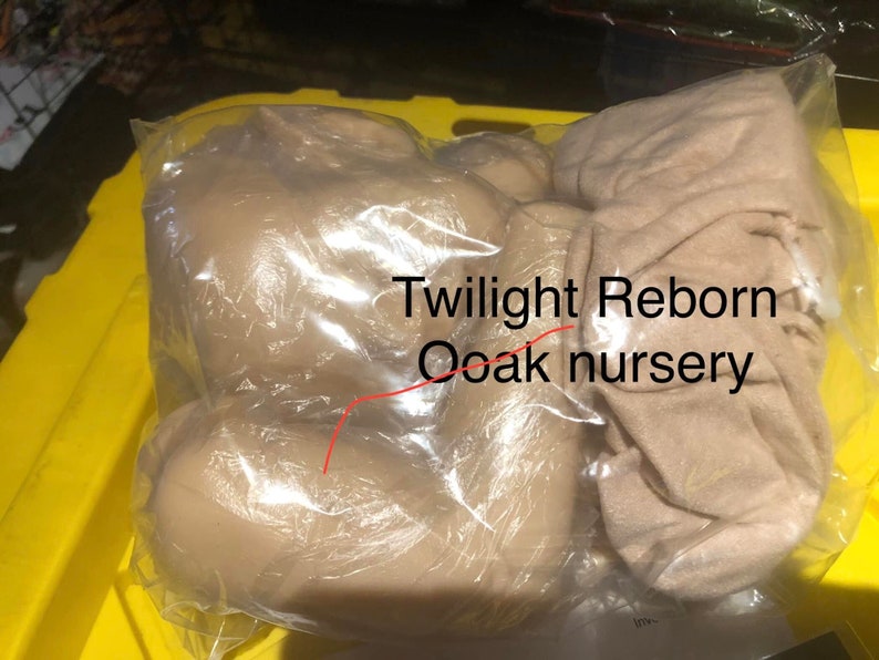 Bountiful Baby Reborn Blank Unpainted Reborn Kits image 2