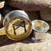 PAIR | Viking Rune Plugs | Hand Painted | Glitter Plugs | Custom Plugs | 2G | 0G Plug | 00G | 7/16" | 1/2" | 9/16" | 5/8" | 3/4" | 7/8" | 1"