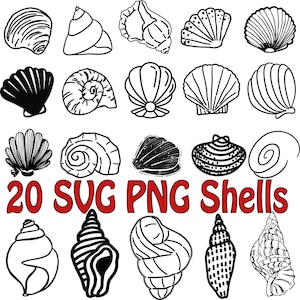 20x Sea Shell SVG,PNG,decal,stencil, vinyl,shell svg,seashell clipart,seashell cut file,vinyl cut file,stencil,cuttable seashell, silhouette
