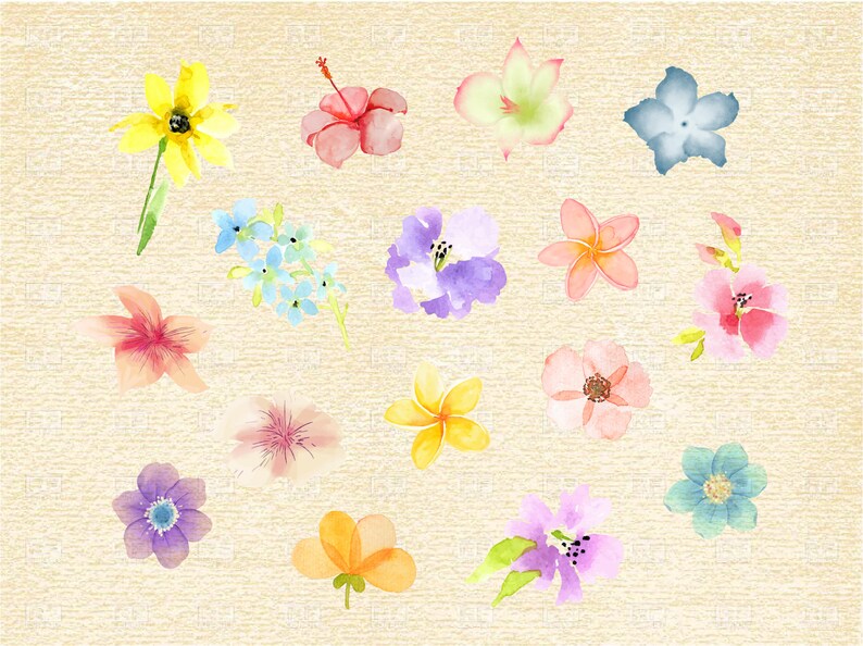 Download Clip Art Art Collectibles Clip Art Floral Frame 16 X Floral Bouquets Pack Floral Circle Wedding Ornament Floral Ornaments Svg Printable Flowers Svg Png Vectorial