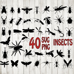 40 x Insektssilhuetter PAKET SVG/PNG, Insekter svg-paket, insektsklippfiler, utskrivbara insekter, buggar svg, buggar clipart, dekal, stencil, vinyl