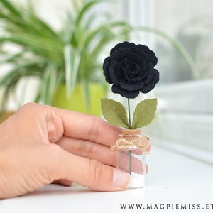 May include: A single black felt rose with green felt leaves in a small glass jar with a cork top and twine tied around the cork. White decorative stones are at the bottom of the jar.